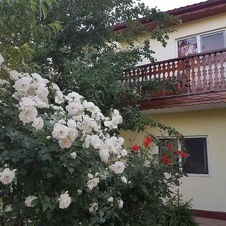 Elena Pensiune *
